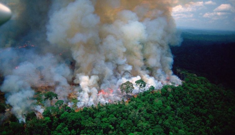 Bolivia, incendi in Amazzonia: dichiarato lo stato d’emergenza | Emergency Live