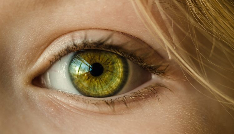Oculistica, congresso AIMO: in Italia 9.000 persone in attesa del trapianto della cornea | Emergency Live
