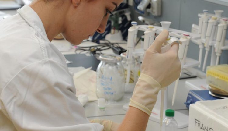 Epatite C, la tossicologa: “Con i test rapidi salivari aumentati gli screening” | Emergency Live