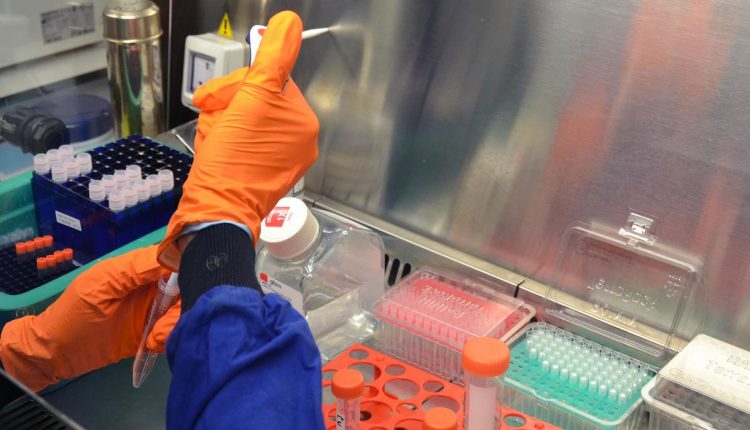 Covid, scoperti anticorpi in persone mai infettate: studio Francis Crick Institute su Science | Emergency Live