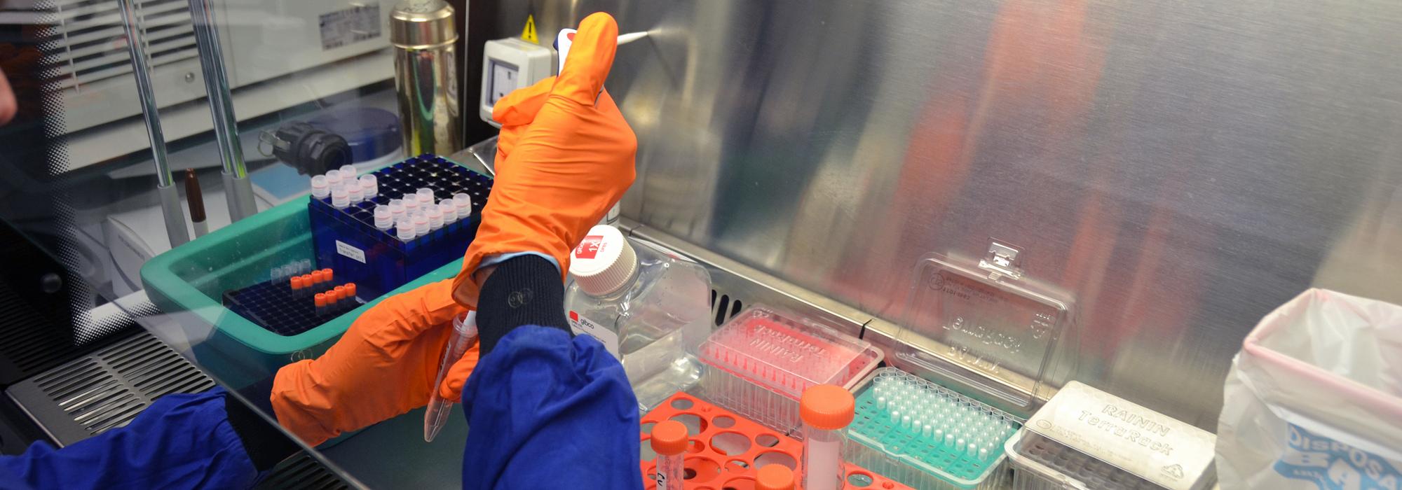Covid, scoperti anticorpi in persone mai infettate: studio Francis Crick Institute su Science | Emergency Live