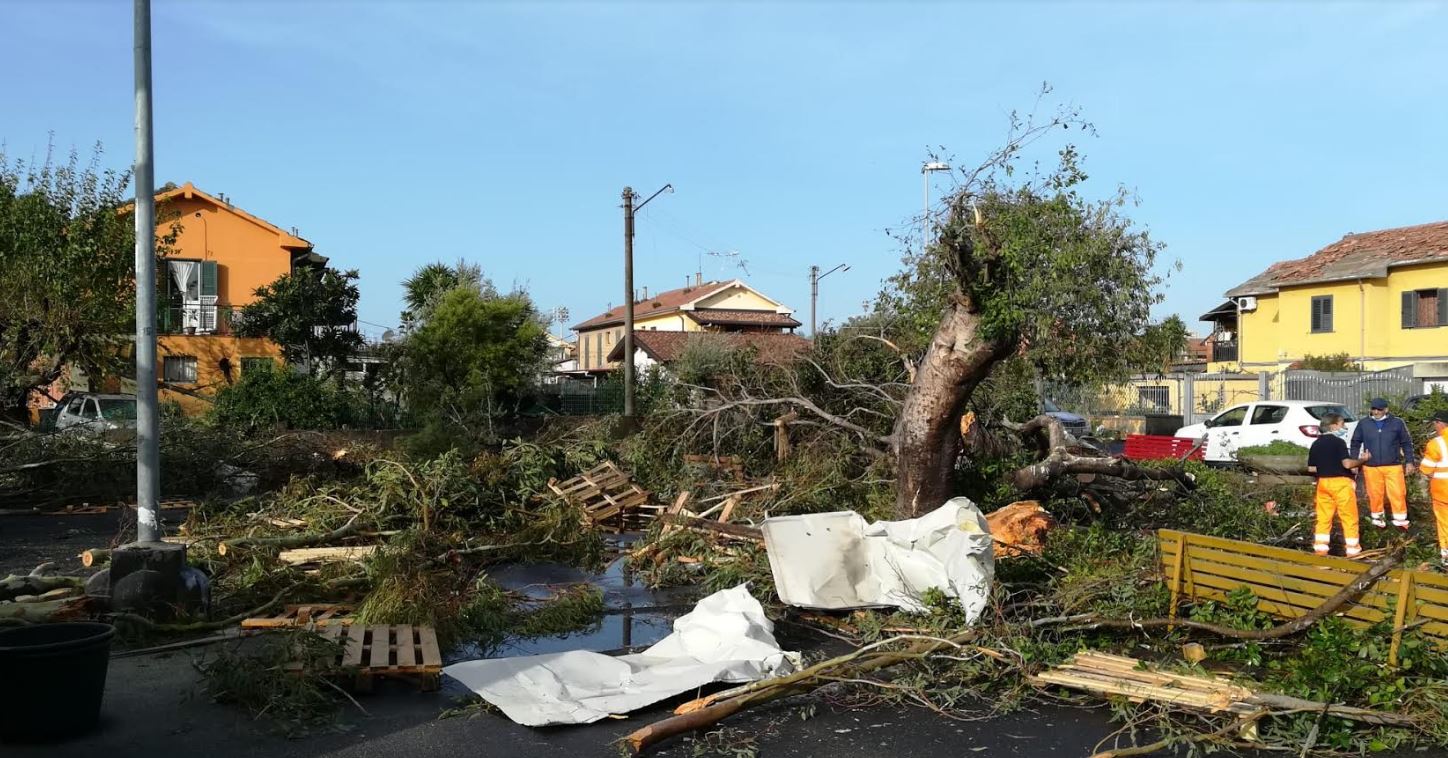 Nubifragio a Catania, oltre 100 interventi dei Vigili del Fuoco: gravi danni nella zona industriale | Emergency Live