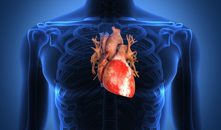 Malattie cardiovascolari, la prima causa di morte in Italia | Emergency Live