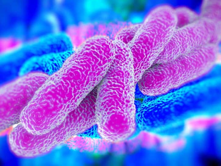 Legionella al Policlinico di Bari, due padiglioni sequestrati e 5 indagati | Emergency Live