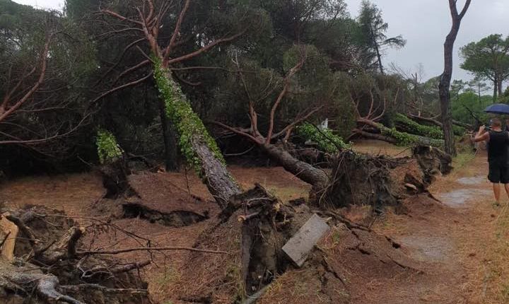Maltempo, l’analisi dei geologi: in una settimana due alluvioni. In Sardegna, a Bitti un mudflow | Emergency Live