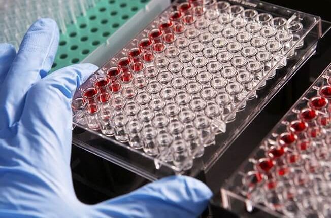 Coronavirus, l’annuncio di Pfizer: “Nostro vaccino efficace al 90%, pronto entro l’anno” | Emergency Live