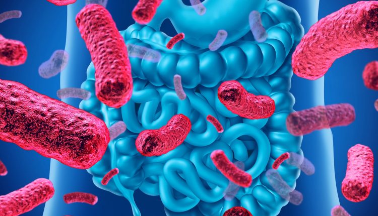 Microbiota e autismo, correlazione e studi scientifici