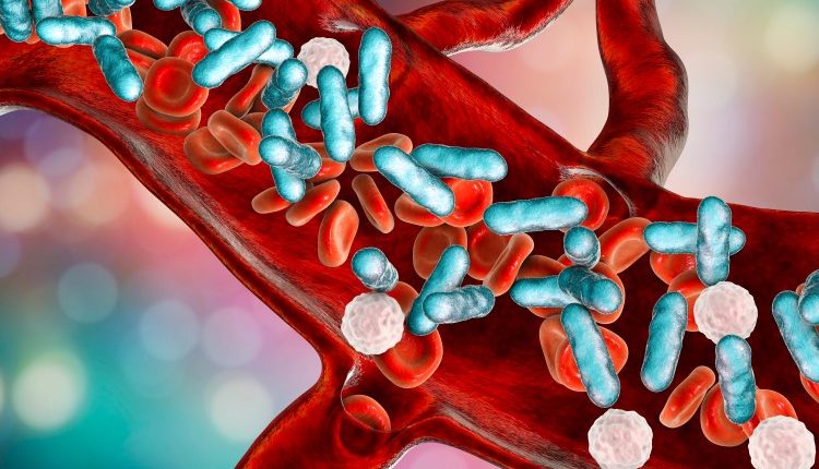 Pisa, la lotta della Microbiologia al COVID-19 e alla sepsi: laboratori aperti h24 per aiutare i colleghi del Pronto soccorso