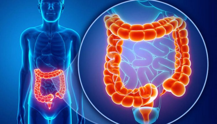 COVID-19 e sintomi gastrointestinali: in che modo il coronavirus attacca stomaco e intestino?
