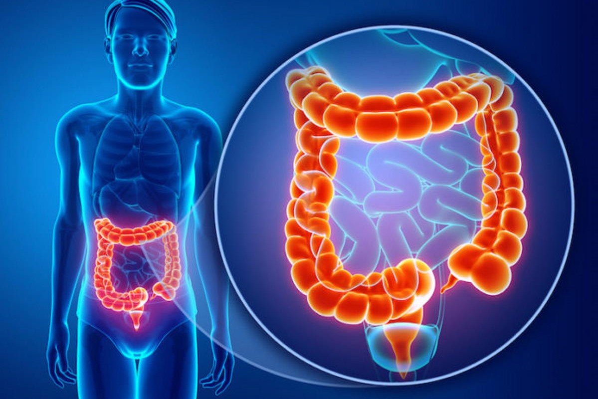 COVID-19 e sintomi gastrointestinali: in che modo il coronavirus attacca stomaco e intestino?