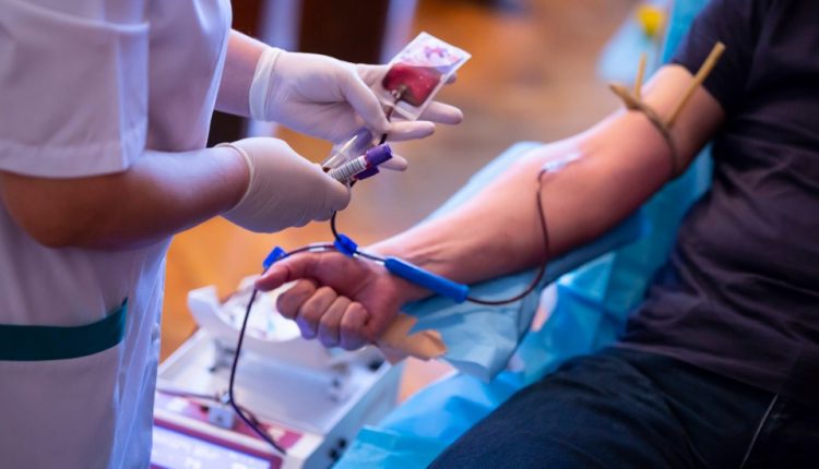 Trasfusione di sangue: la raccomandazione ministeriale del 9 gennaio come gold standard? 2