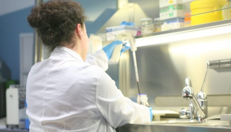 Covid, variante brasiliana a Varese? Iss: “Partono gli accertamenti”