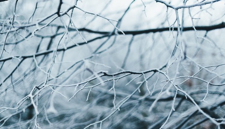 San Valentino ghiacciato in Emilia-Romagna con neve e gelo siberiano