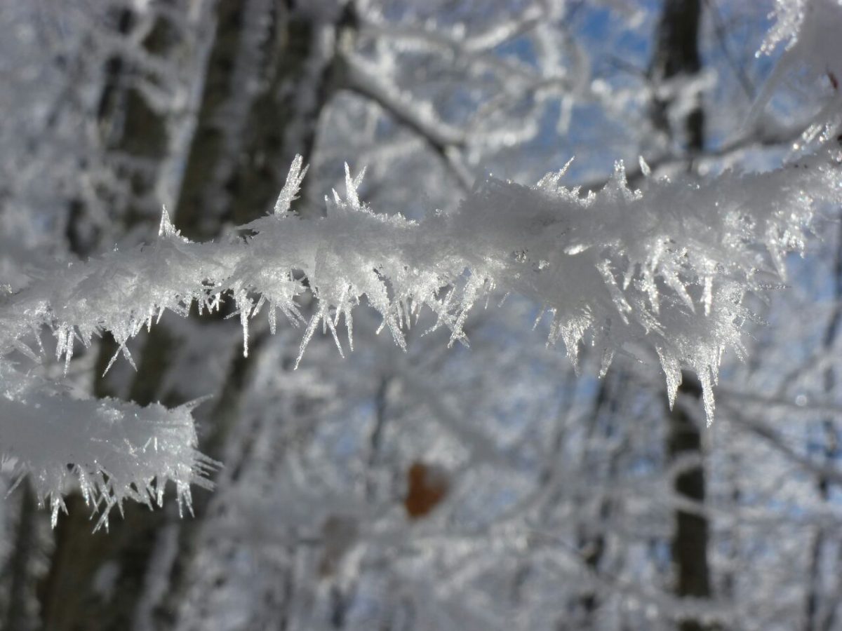 Maltempo, in Campania allerta della Protezione civile per neve anche a bassa quota