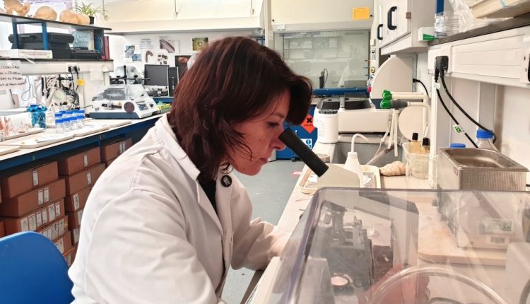 Covid, Magi: “Anticorpi monoclonali ci aiuteranno moltissimo”
