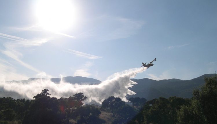 Sardegna, corpo forestale incastra piromane seriale: arrestato, aveva appiccato nove incendi