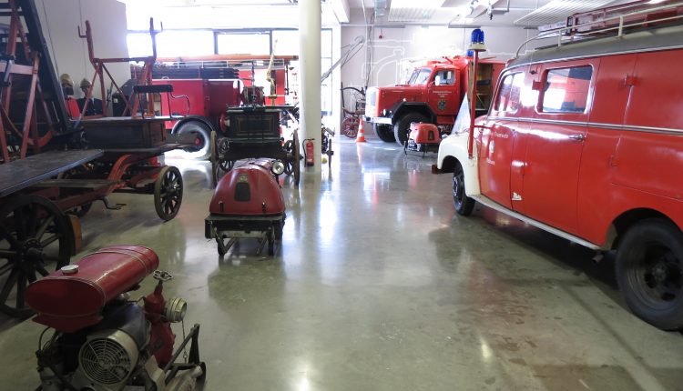 ドイツの動植物 - ドイツの動物相