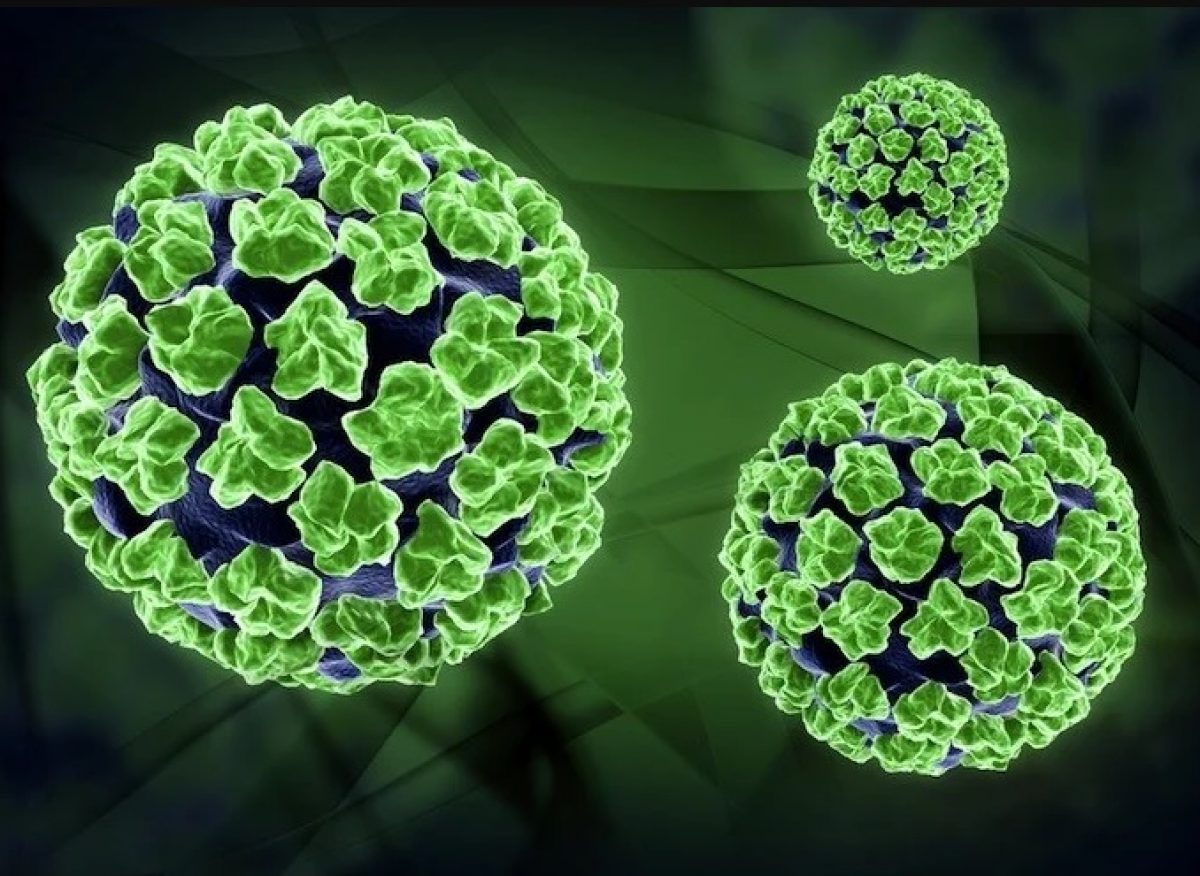 Il papilloma virus e recidivo, HPV – riscuri, diagnostic si tratament