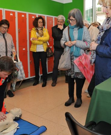 猫の購入 - 初期設備と継続的な費用