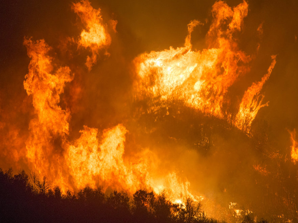 Le conseguenze degli incendi - cosa succede dopo la tragedia