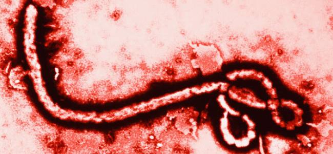 Emergency Live | First Ebola case diagnosed in US confirmed