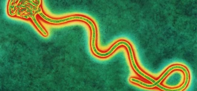 Emergency Live | Ebola, positive patient in Belfast