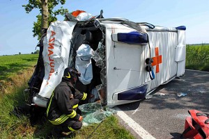 [cml_media_alt id='6126']MORTO GELLI COMACCHIO[/cml_media_alt]