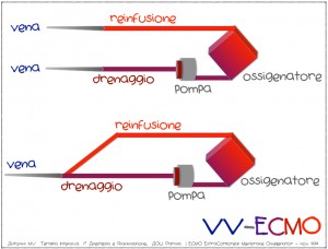 [cml_media_alt id='5771']VV-ECMO[/cml_media_alt]