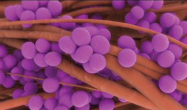 Emergency Live | New antibiotic could treat infection while dodging resistance problems