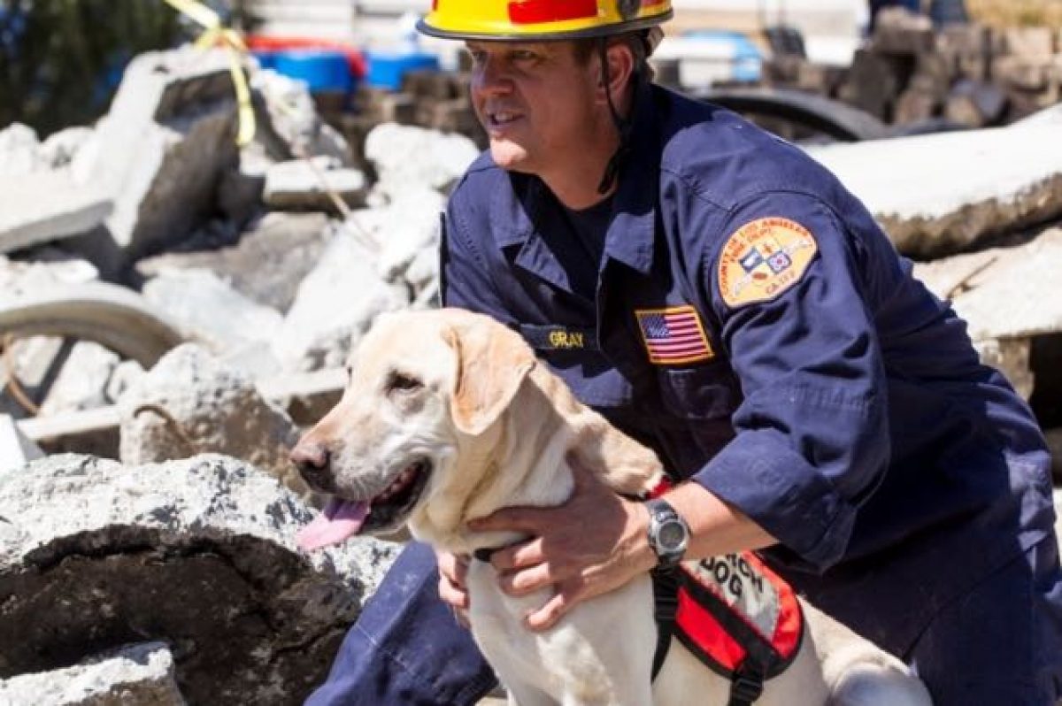 ロサンゼルス郡の火災sarの犬ネパールの地震の援助を支援