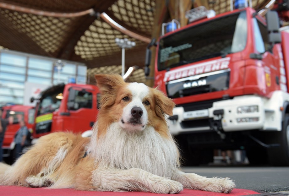 Emergency Live | INTERSCHUTZ DAY 06 | Goodbye Hannover, welcome Australia! image 1