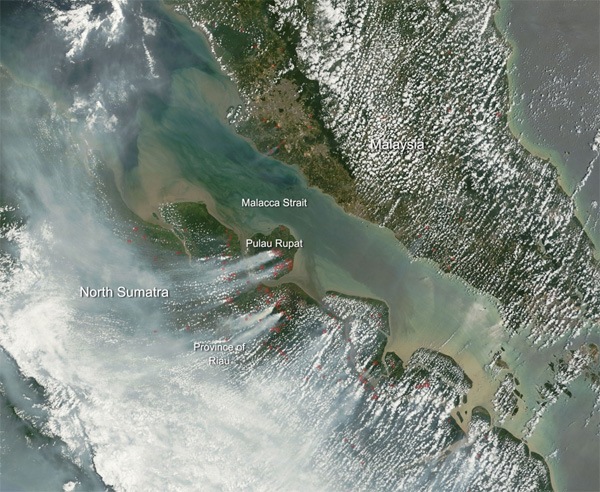 Emergency Live | Haze in South Sumatra drops from hazardous level to unhealthy range