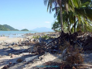 31D0fAyITi1ROOYVu9gGG5H5