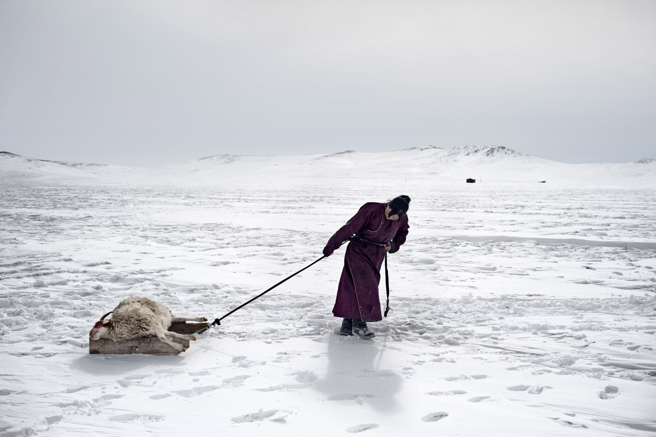 Kiran gaggawa na Red Cross: matsananciyar hunturu na barazana ga makiyayan  Mongolian