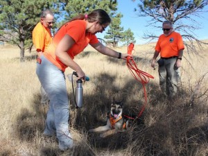 636124011075690593-IMG-8935