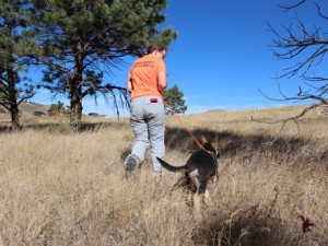 636124014267471053-IMG-8944