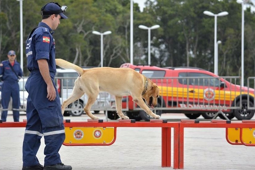 Emergency Live | Take a look inside the SENABOM seminar in Florianópolis, Brazil image 8