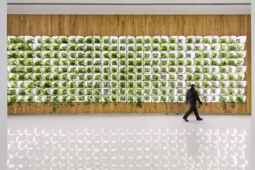 17_PSACII_SOM_AlbertVecerka_Esto_2016AV55.462