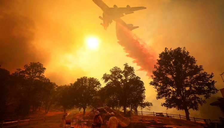 Emergency Live | California wildfires: in Woolsey, around 3,700 firefighters at work. Another priority is saving animals! image 3