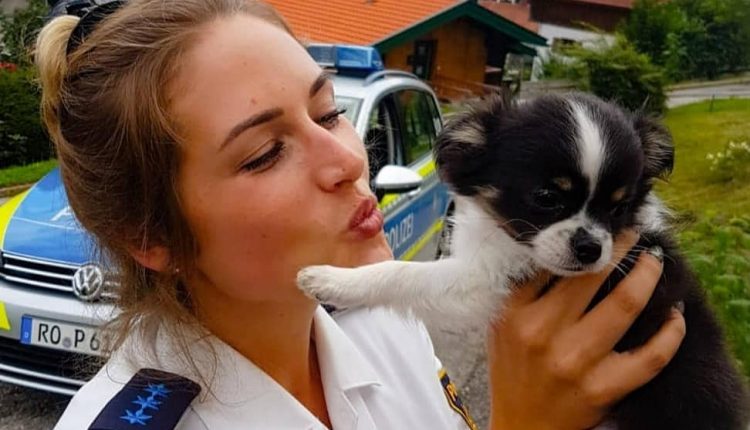 Urgence en direct | Célébrer les femmes en uniforme non seulement pendant la journée de la femme image 4