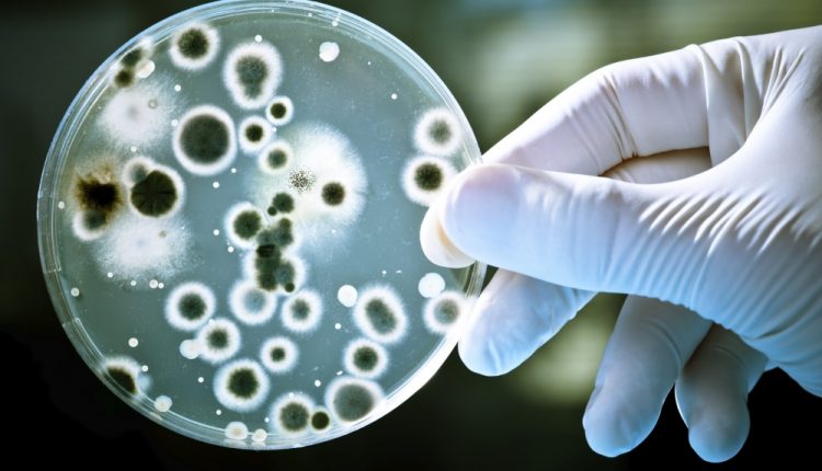 Emergency Live | How to notify infectious disease and follow the right guidelines?