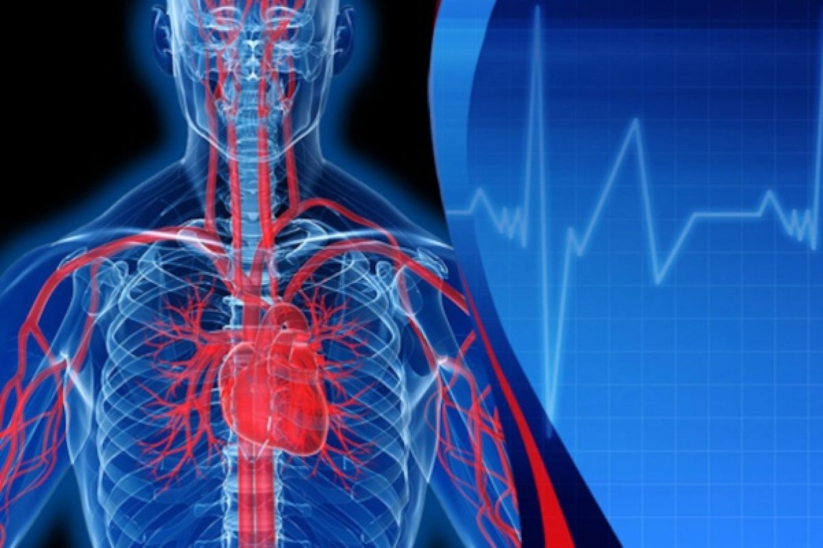 Hogyan ellenőrizzük a szív egészségét otthon (díszített felszerelés nélkül)