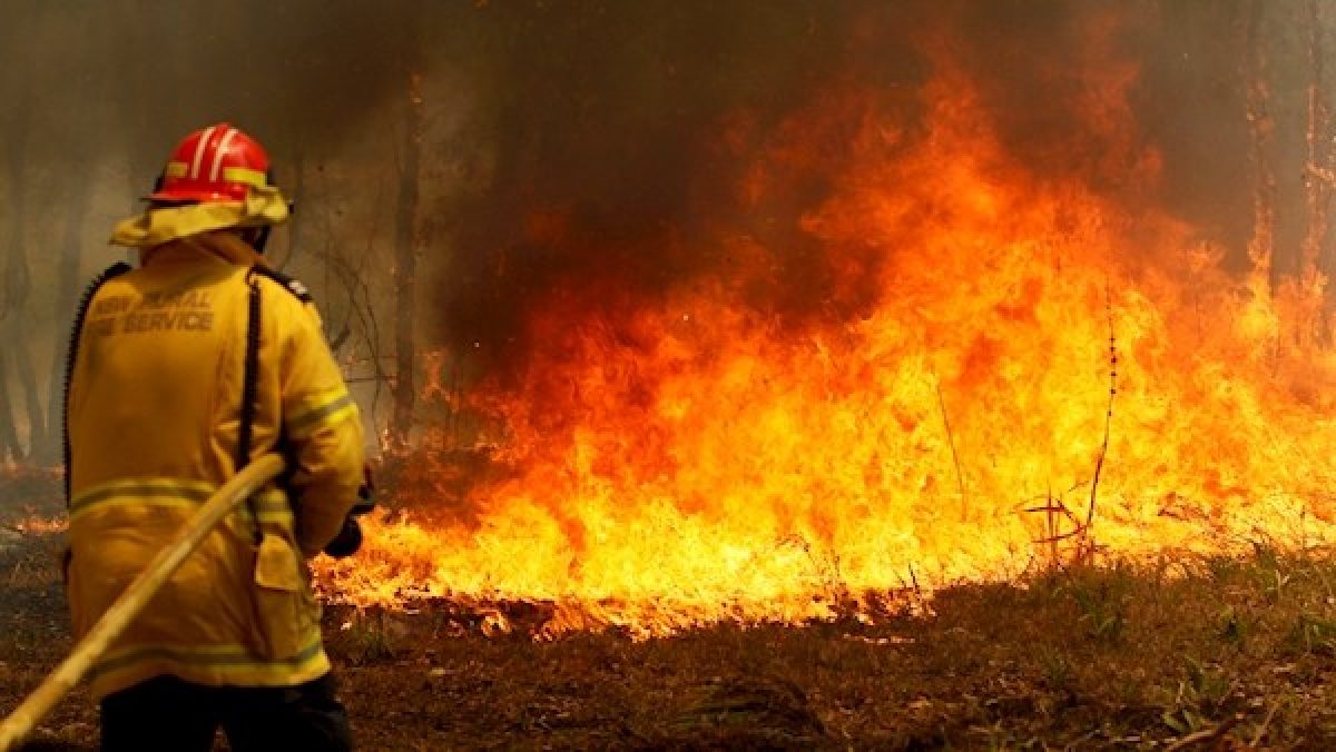 オーストラリアの山火事は止まる兆候はありません 本当に何が起こっているのですか 緊急ライブ