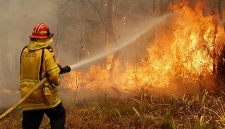 Emergency Live | Australian firefighters against bushfires: emergency on Snowy Mountains never ended