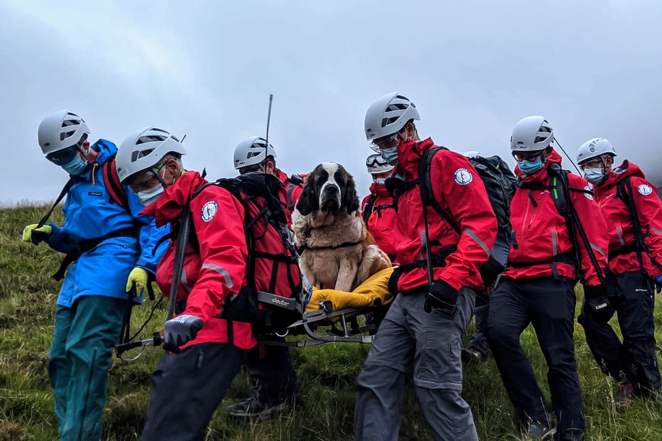Emergency Live | A stretcher for Daisy: Mountain Rescue team rescued and evacuated a St Bernard on Scafell Pike