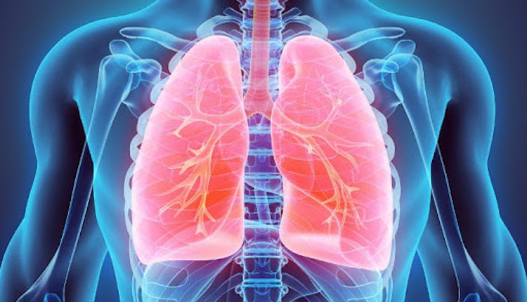 Emergency Live | Our respiratory system: a virtual tour inside our body