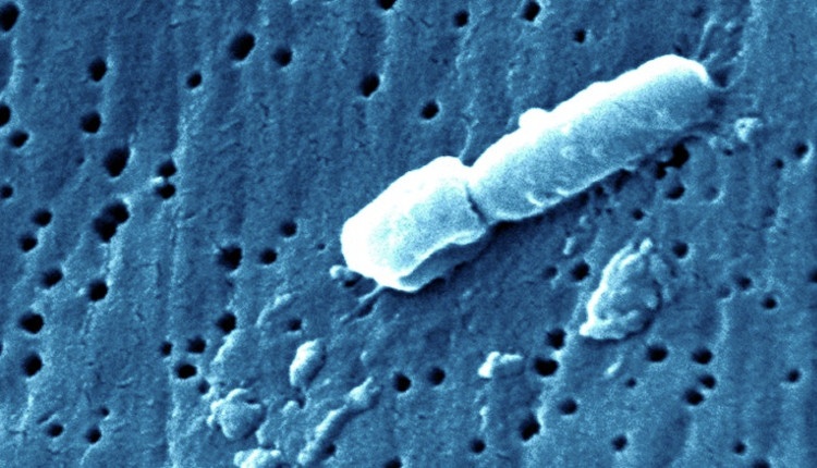 Emergency Live | Deadlier than COVID-19? Unknown pneumonia discovered in Kazakhstan