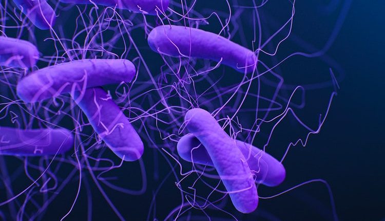 Emergency Live | Clostridioides infection: an old disease which became a current matter in healthcare sector