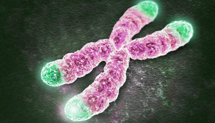 Emergency Live | COVID-19 and DNA, the link between telomeres and intensive care: the study by Saint-Luc University Clinics and UCLouvain