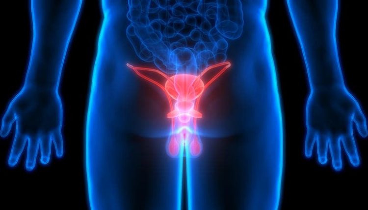 Emergency Live | Diagnostic imaging may increase risk of testicular cancer: a TGCT study from Pennsylvania